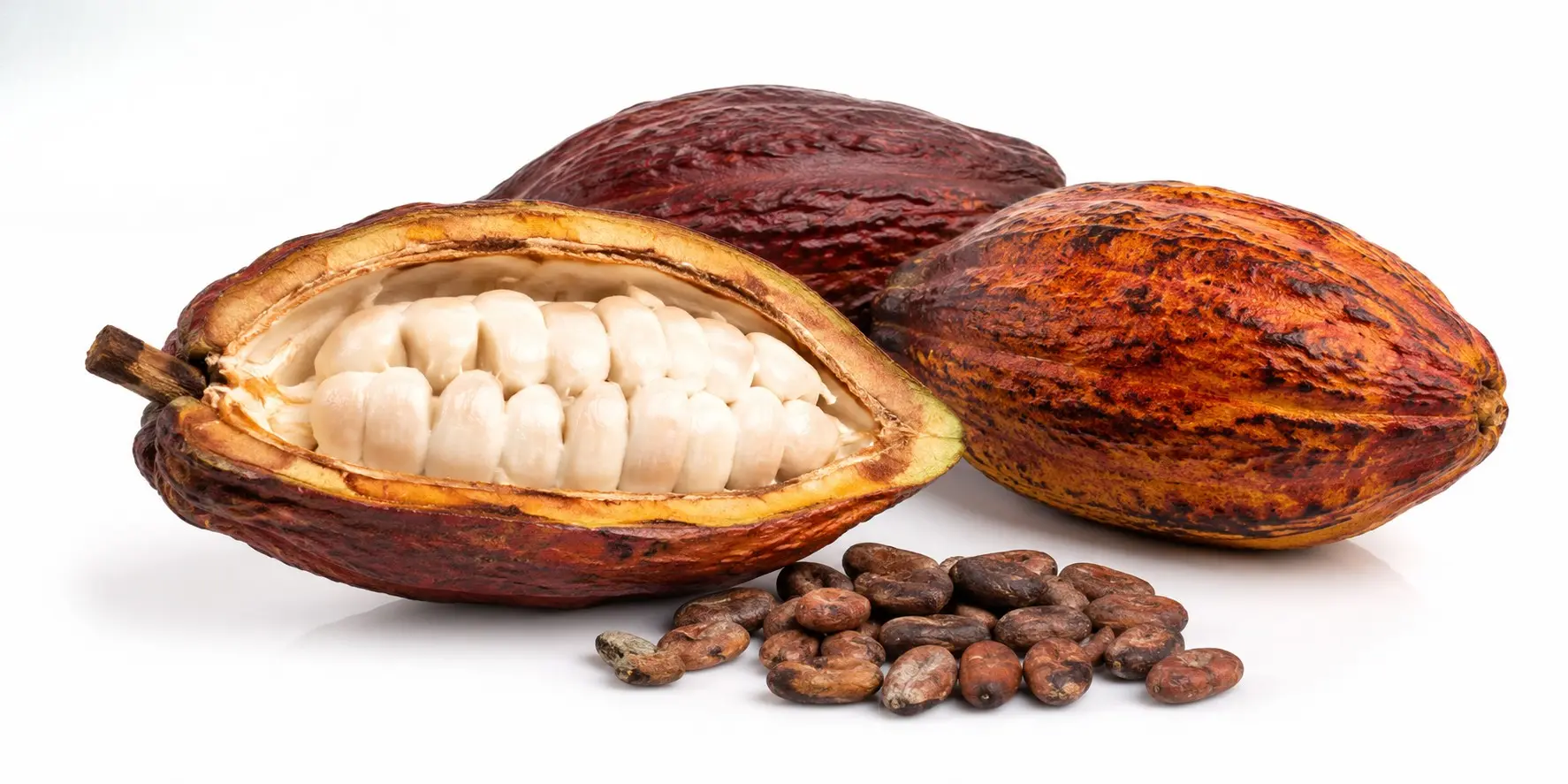 Export-grade African cocoa pods and beans supplied by BV Integrated Ltd