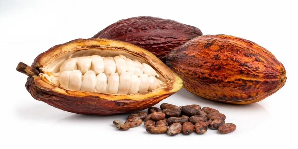Browse BV Integrated's seed export category — cocoa and sesame