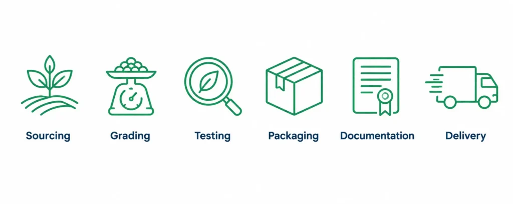 The six stages of BV Integrated's Zero-Rejection Protocol for compliant agro-commodity export